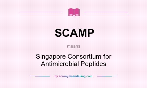 What does SCAMP mean? It stands for Singapore Consortium for Antimicrobial Peptides