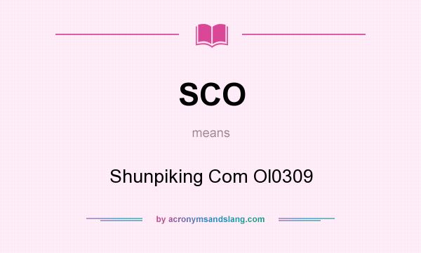 What does SCO mean? It stands for Shunpiking Com Ol0309