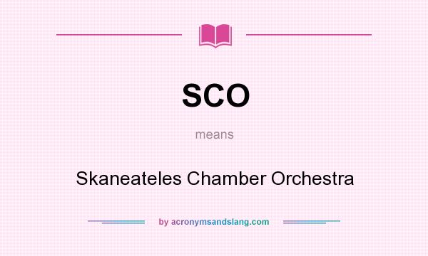 What does SCO mean? It stands for Skaneateles Chamber Orchestra