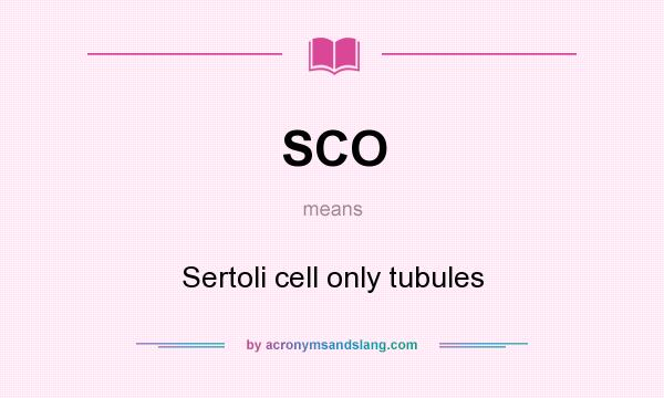 What does SCO mean? It stands for Sertoli cell only tubules