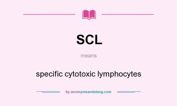 What does SCL mean? It stands for specific cytotoxic lymphocytes