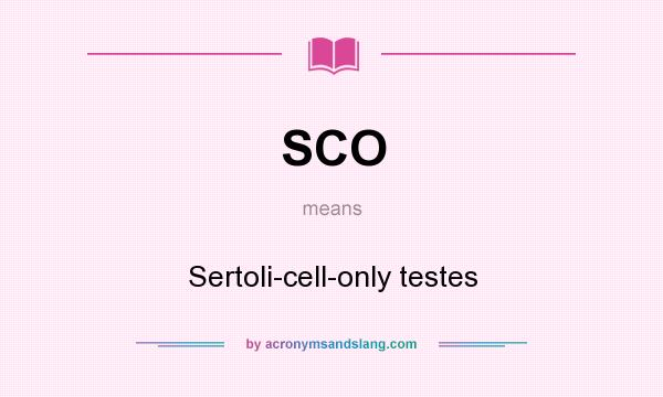What does SCO mean? It stands for Sertoli-cell-only testes