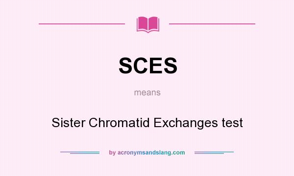 What does SCES mean? It stands for Sister Chromatid Exchanges test