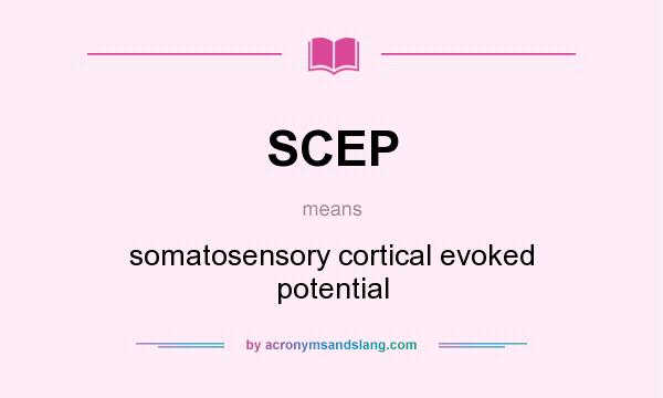 What does SCEP mean? It stands for somatosensory cortical evoked potential