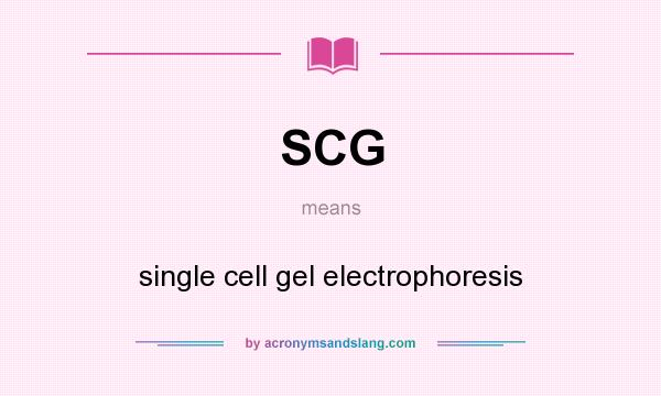 What does SCG mean? It stands for single cell gel electrophoresis