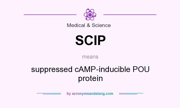 What does SCIP mean? It stands for suppressed cAMP-inducible POU protein
