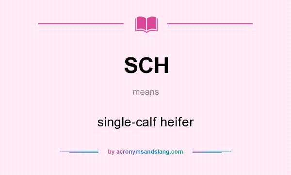 What does SCH mean? It stands for single-calf heifer