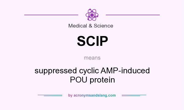 What does SCIP mean? It stands for suppressed cyclic AMP-induced POU protein