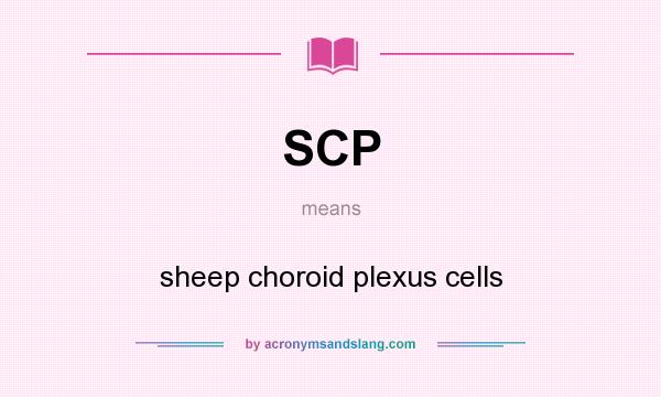 What does SCP mean? It stands for sheep choroid plexus cells