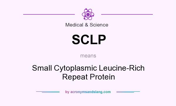 What does SCLP mean? It stands for Small Cytoplasmic Leucine-Rich Repeat Protein