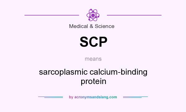 What does SCP mean? It stands for sarcoplasmic calcium-binding protein