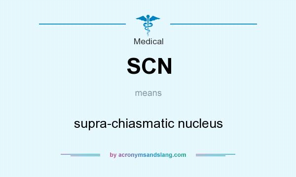 What does SCN mean? It stands for supra-chiasmatic nucleus