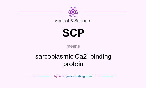 What does SCP mean? It stands for sarcoplasmic Ca2  binding protein