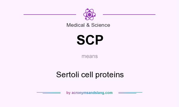 What does SCP mean? It stands for Sertoli cell proteins