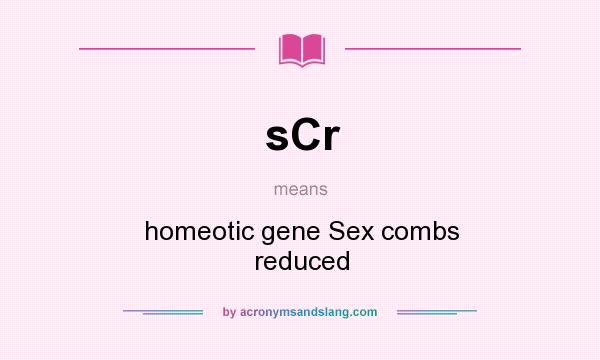 What does sCr mean? It stands for homeotic gene Sex combs reduced