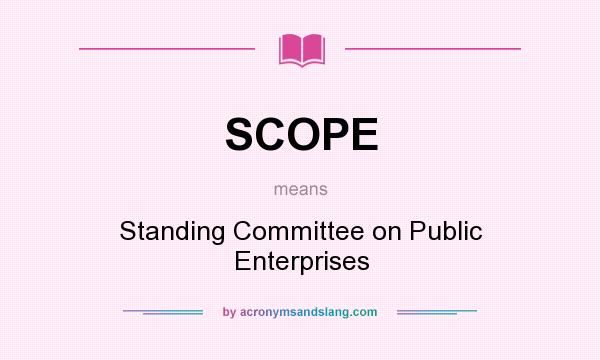 What does SCOPE mean? It stands for Standing Committee on Public Enterprises