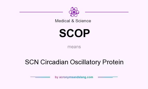 What does SCOP mean? It stands for SCN Circadian Oscillatory Protein