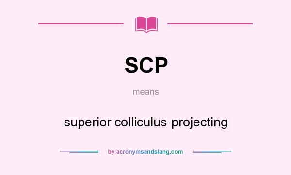 What does SCP mean? It stands for superior colliculus-projecting