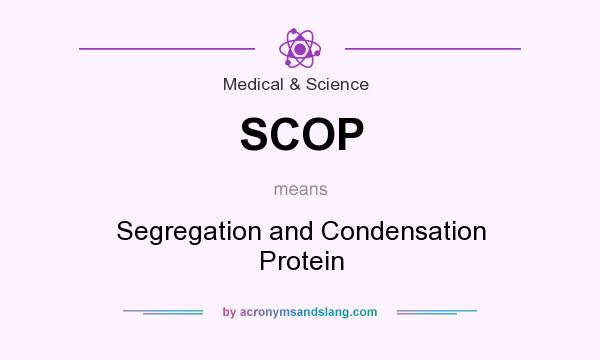 What does SCOP mean? It stands for Segregation and Condensation Protein