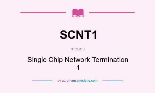 What does SCNT1 mean? It stands for Single Chip Network Termination 1