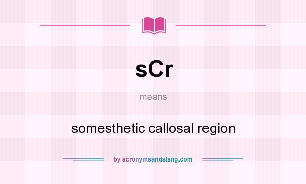 What does sCr mean? It stands for somesthetic callosal region