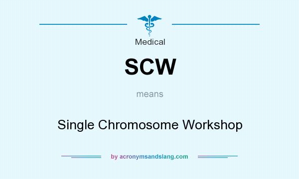 What does SCW mean? It stands for Single Chromosome Workshop