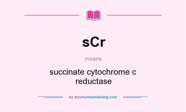 What does sCr mean? It stands for succinate cytochrome c reductase