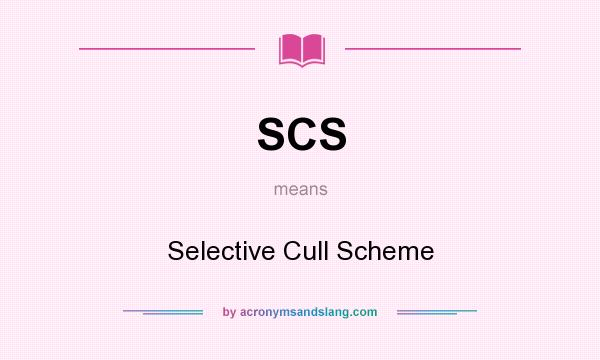 What does SCS mean? It stands for Selective Cull Scheme