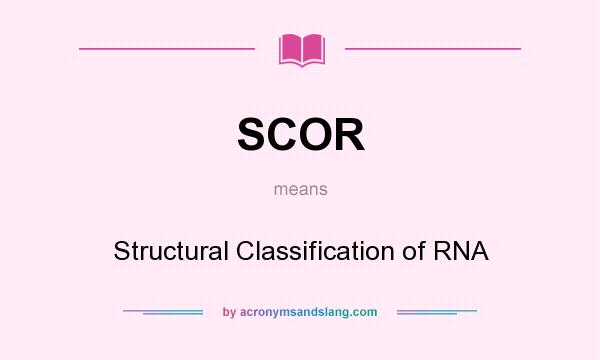 What does SCOR mean? It stands for Structural Classification of RNA