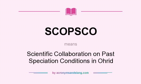 What does SCOPSCO mean? It stands for Scientific Collaboration on Past Speciation Conditions in Ohrid