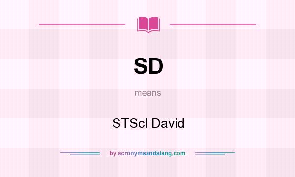 What does SD mean? It stands for STScI David
