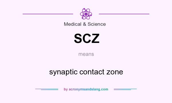 What does SCZ mean? It stands for synaptic contact zone