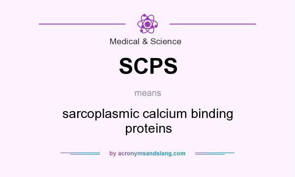 What does SCPS mean? It stands for sarcoplasmic calcium binding proteins