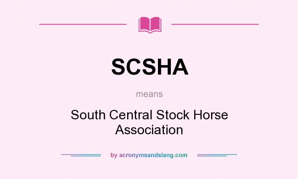 What does SCSHA mean? It stands for South Central Stock Horse Association