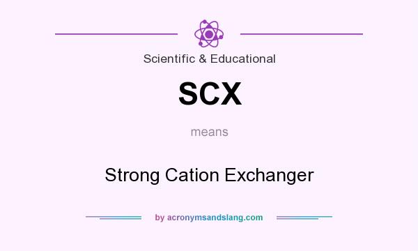 What does SCX mean? It stands for Strong Cation Exchanger