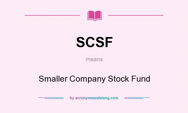 What does SCSF mean? It stands for Smaller Company Stock Fund