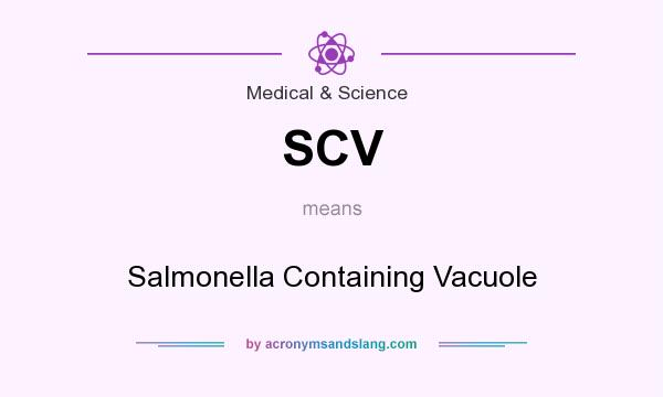 What does SCV mean? It stands for Salmonella Containing Vacuole
