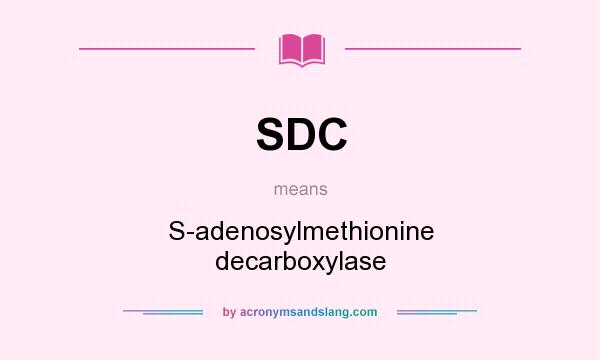 What does SDC mean? It stands for S-adenosylmethionine decarboxylase