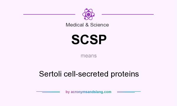 What does SCSP mean? It stands for Sertoli cell-secreted proteins