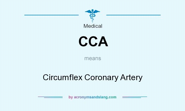 What does CCA mean? It stands for Circumflex Coronary Artery