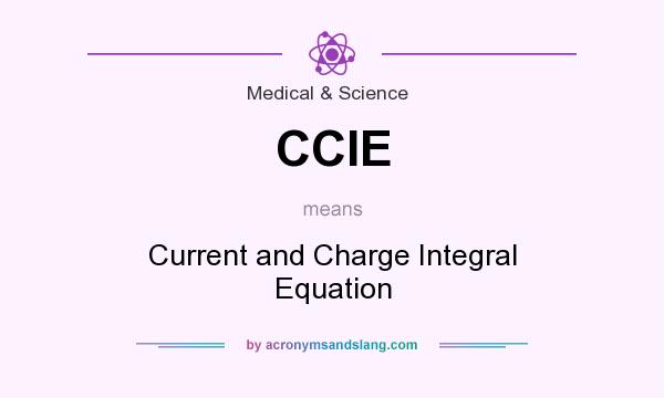 What does CCIE mean? It stands for Current and Charge Integral Equation