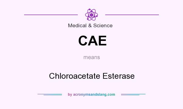 What does CAE mean? It stands for Chloroacetate Esterase