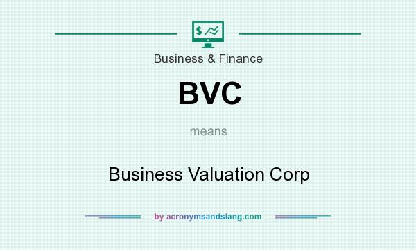 What does BVC mean? It stands for Business Valuation Corp