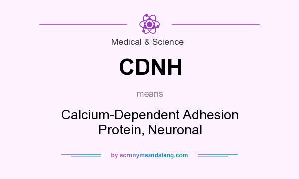 What does CDNH mean? It stands for Calcium-Dependent Adhesion Protein, Neuronal