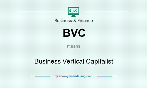 What does BVC mean? It stands for Business Vertical Capitalist