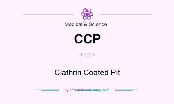 What does CCP mean? It stands for Clathrin Coated Pit
