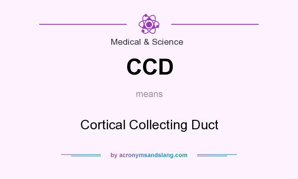 What does CCD mean? It stands for Cortical Collecting Duct