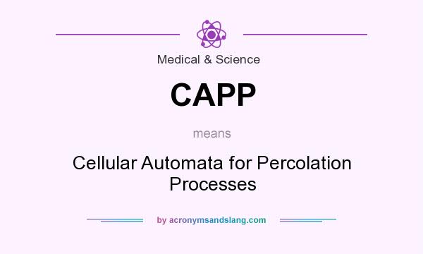 What does CAPP mean? It stands for Cellular Automata for Percolation Processes