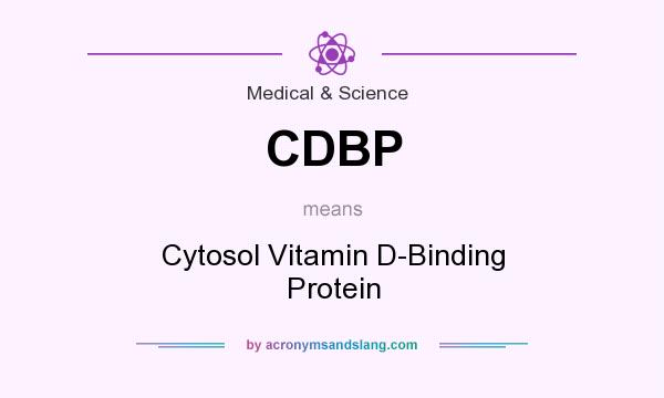What does CDBP mean? It stands for Cytosol Vitamin D-Binding Protein