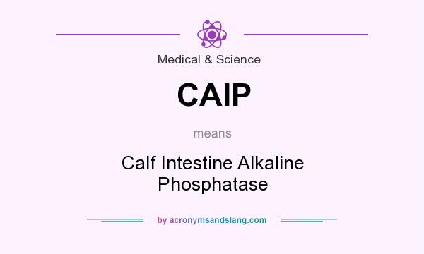 What does CAIP mean? It stands for Calf Intestine Alkaline Phosphatase